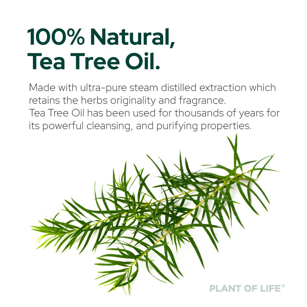 Tea Tree Oil for Aromatherapy, Skincare and Haircare | Sizes - Premium  from Plant of Life - Just $13.98! Shop now at Shop A Positive You