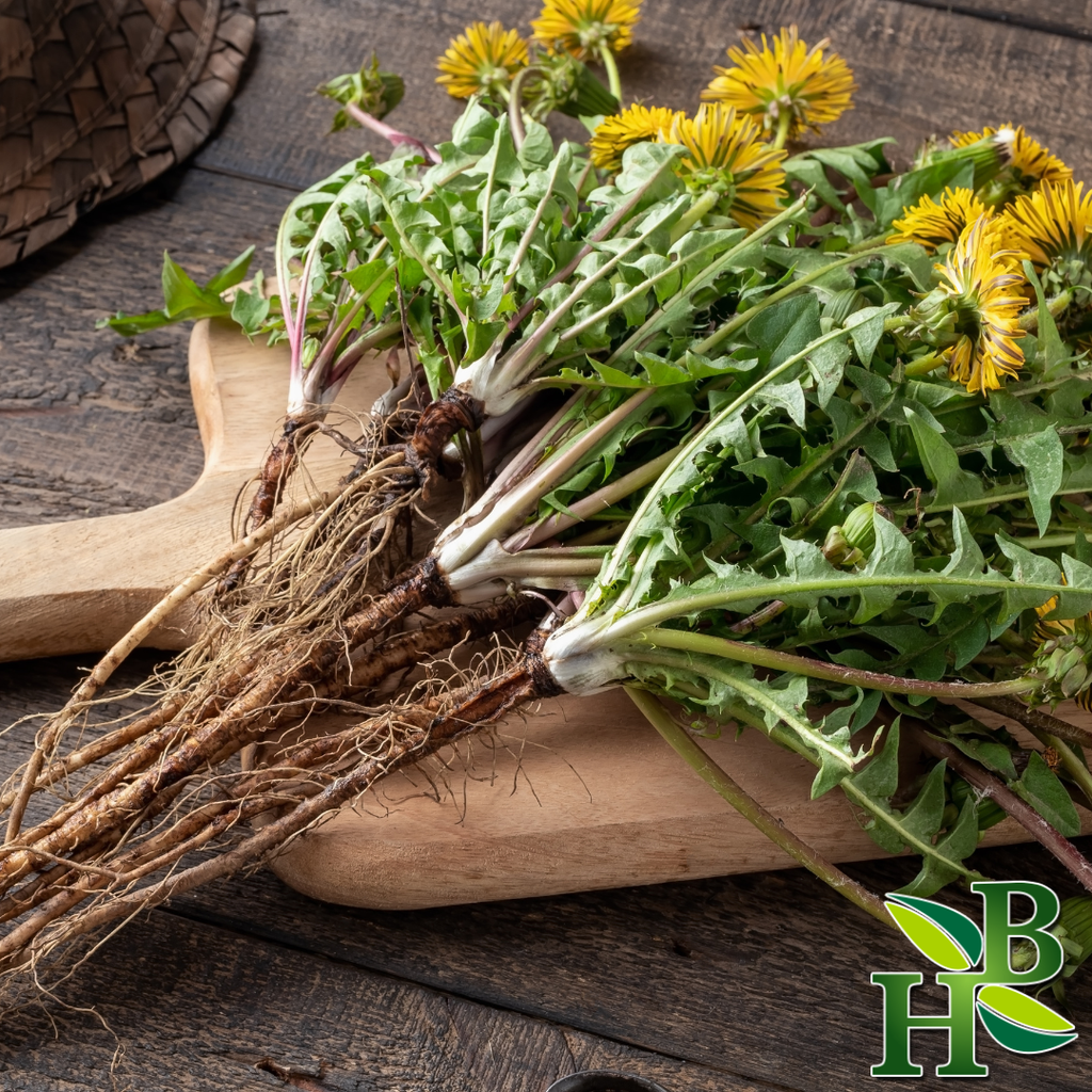 Dandelion Root c/s - Premium  from Herb To Body - Just $13.45! Shop now at Shop A Positive You