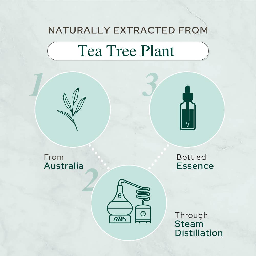 Tea Tree Oil for Aromatherapy, Skincare and Haircare | Sizes - Premium  from Plant of Life - Just $13.98! Shop now at Shop A Positive You